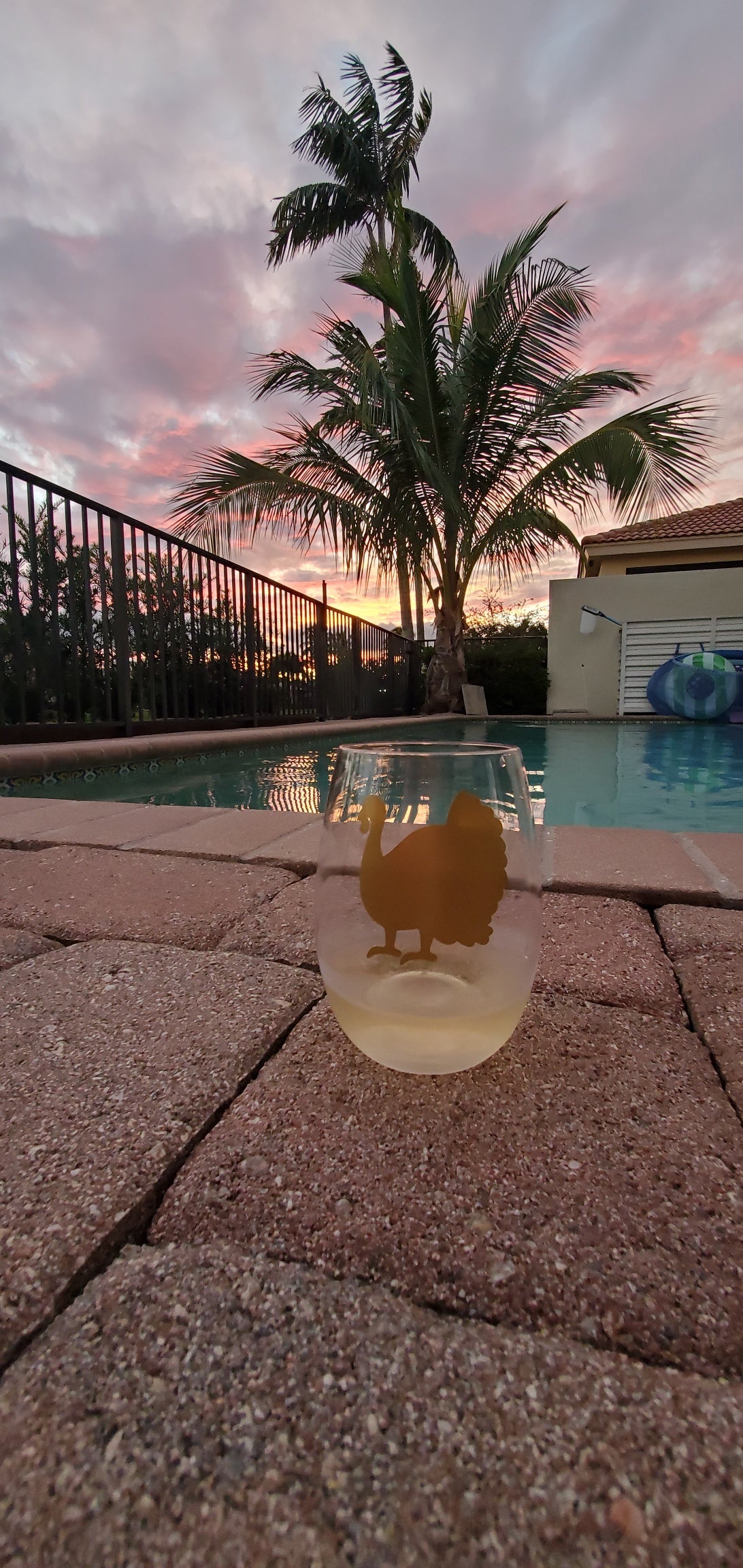 Thanksgiving & Friendsgiving Acrylic Wine Glasses